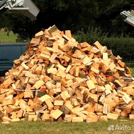 Дрова с Приморска