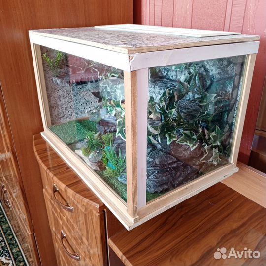 Террариум для эублефара бу