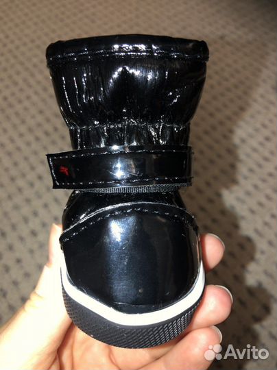 Ботинки для маленьких собак