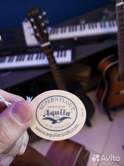 Укулеле концерт Ramis