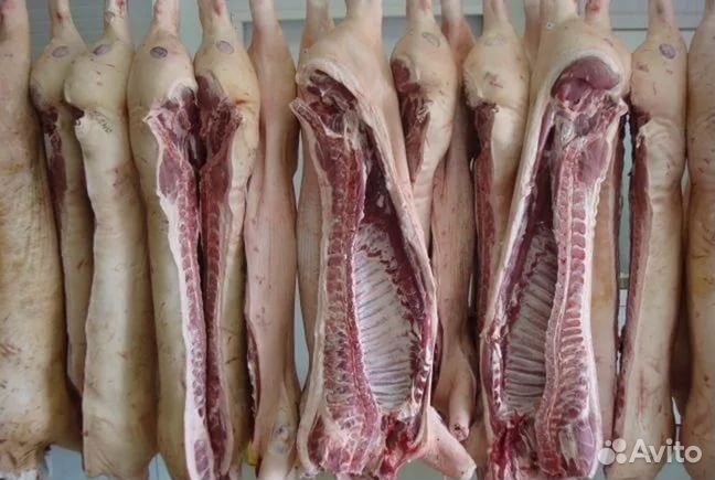 Мясо свинины в полутушах