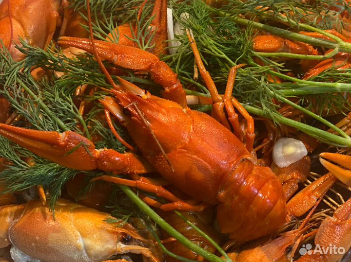 Живые и вареные раки с доставкой