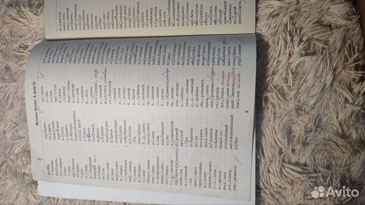 Тренировочные примеры по русскому языку