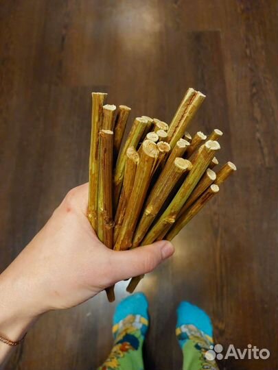 Листья для грызунов (берёза и дуб)