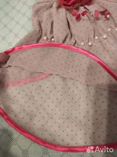 Платье для кошки на выставку