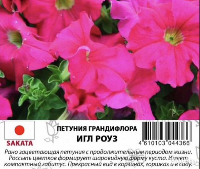 Профессиональные семена петунии