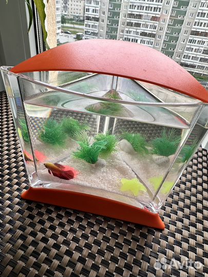 Аквариум с рыбками