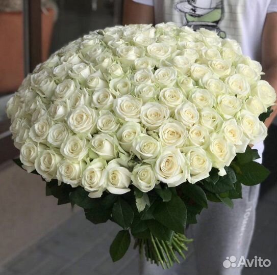 101 роза белые красные розы Эквадор цветы доставка