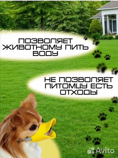 Намордник для маленькой собаки