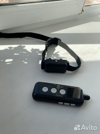 Ошейник для собак