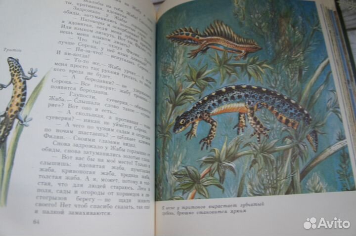 Покажите мне их Сладков 1994 г