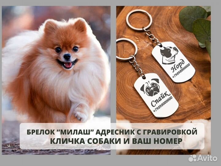Адресник «Милаш» для собак и кошек. Гравировка кли