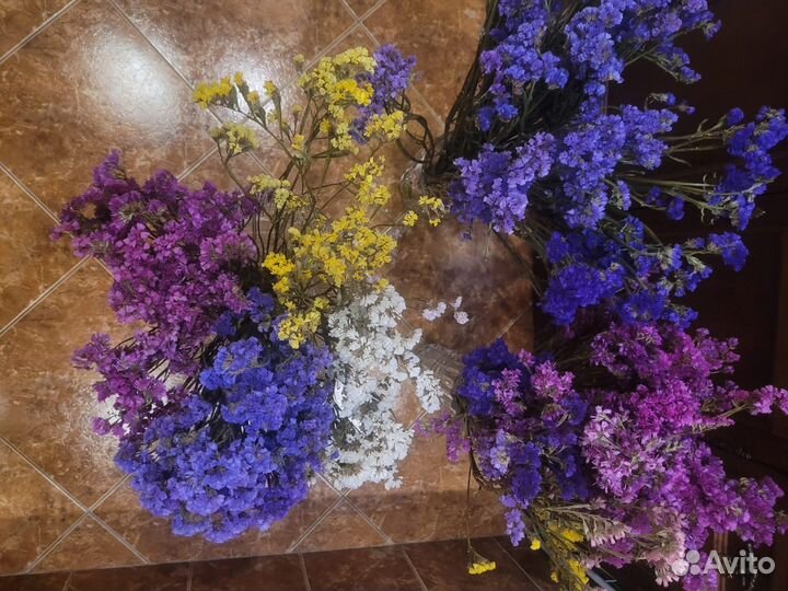 Цветы статицы и гелихризумы