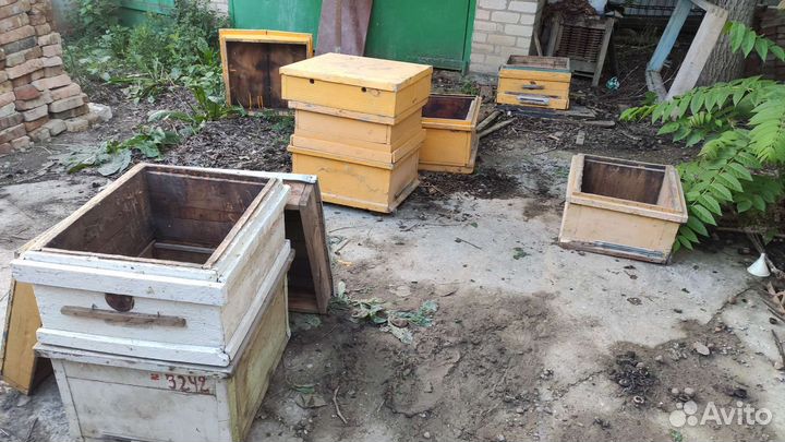 Улей для пчел, домик для пчел