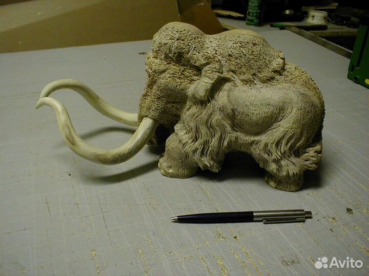 Берцовая кость мамонта