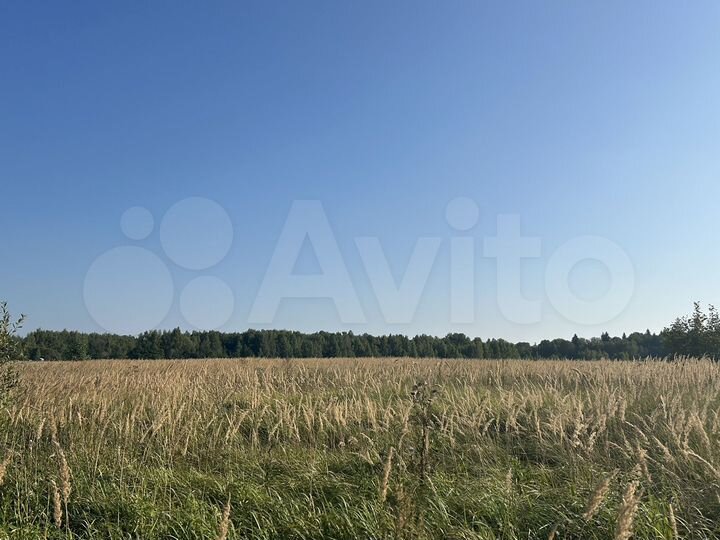 Участок 7 га (СНТ, ДНП)