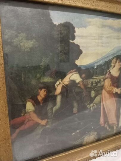 Картина репродукция Пальма Веккио Иаков и Рахиль