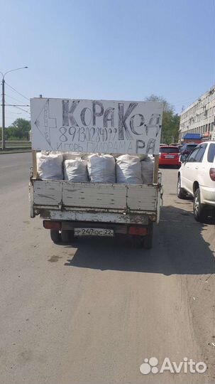 Кора Алтайского кедра (мульча)