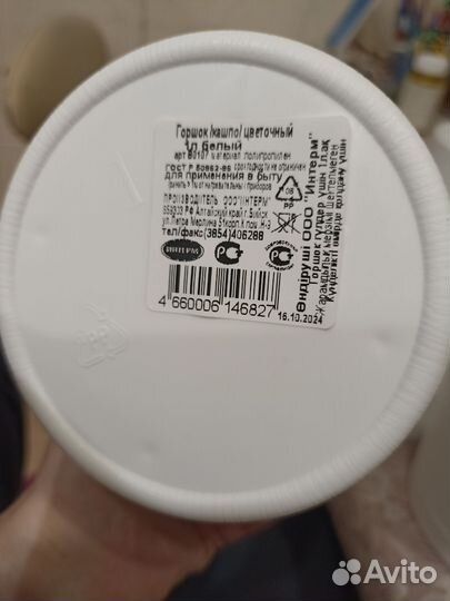 Традесканция Рео