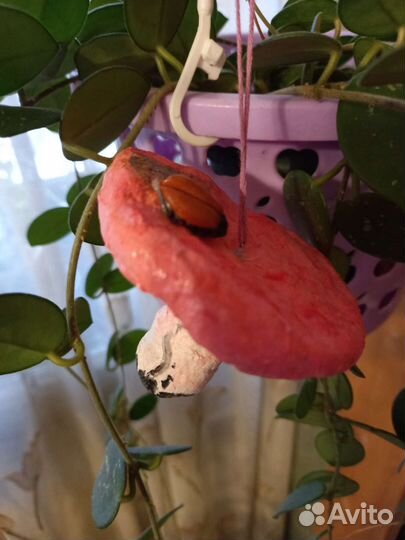 Набор ёлочных игрушек 