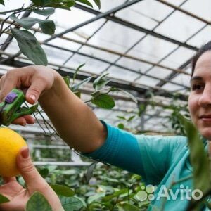 8.сен.23 Автобусный.тур 