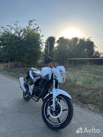 Stels flex 250