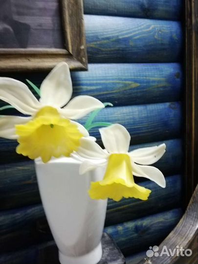Цветы- нарцисы 1970г