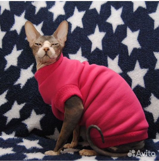 Одежда для кошек