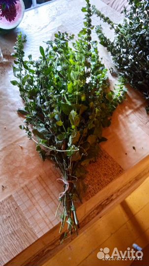 Мелисса сушёная