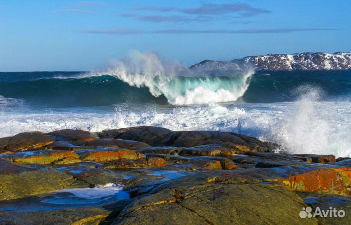 Тур в Териберку