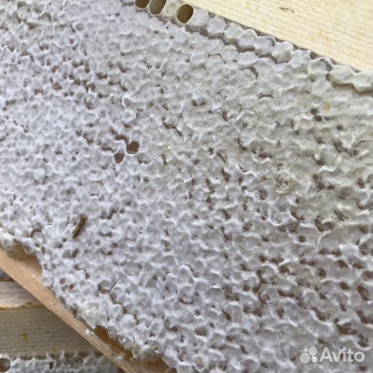 Мед с личной пасеки