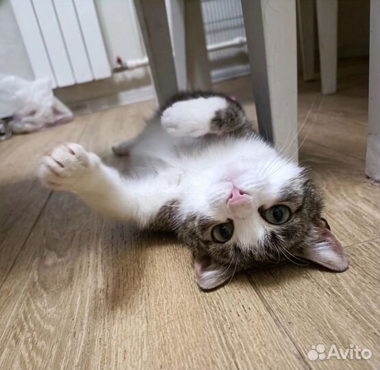 Красавица Тая 1 год