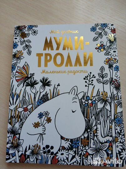 Новая книга - дневник 