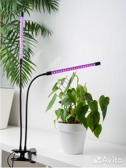 Фитолампа для растений, 3 режима, пульт управления