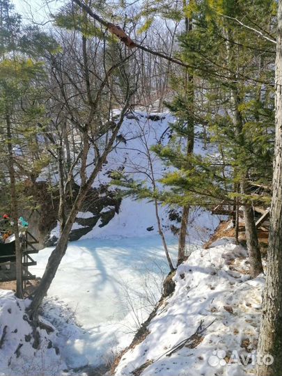 3 в 1. Белый Лев, Кравцовские вод, Земля Леопарда