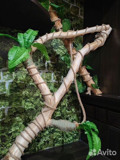 Террариумы под ключ