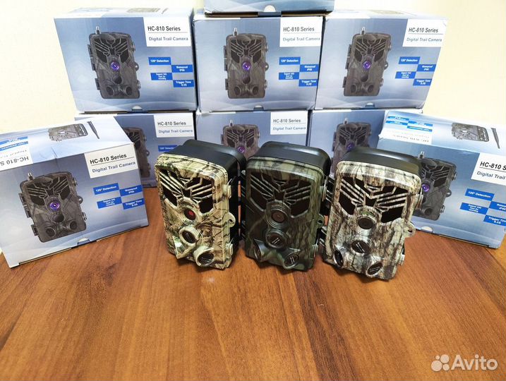 Фотоловушка Филин 810 в Воронеже, новая прошивка