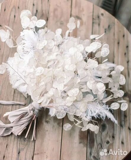 Лунария семена