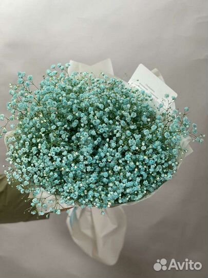 Гипсафилал Роза Букет Цветы Пионы