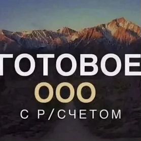 ООО с оборотами действует с 2005г