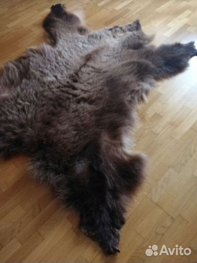 Шкура медведя имитация ковер