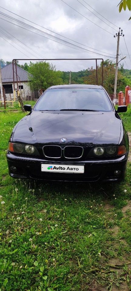 BMW 5 серия: фото владельца