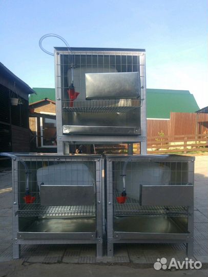 Клетка на 10 перепелов