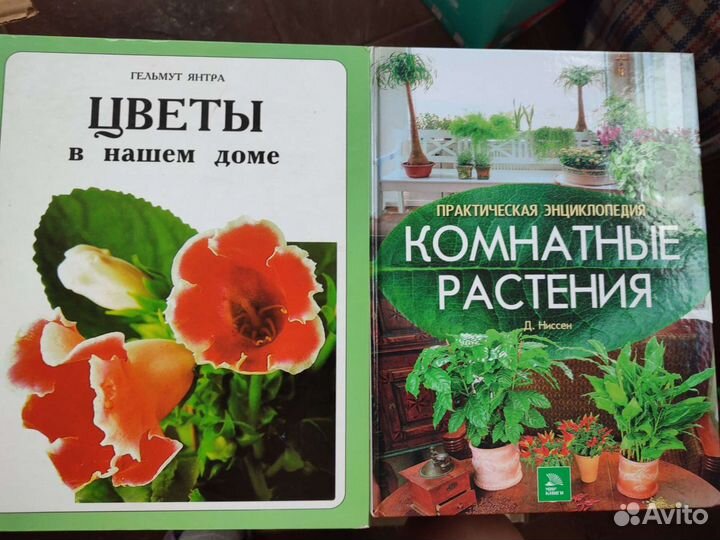 Комнатные растения