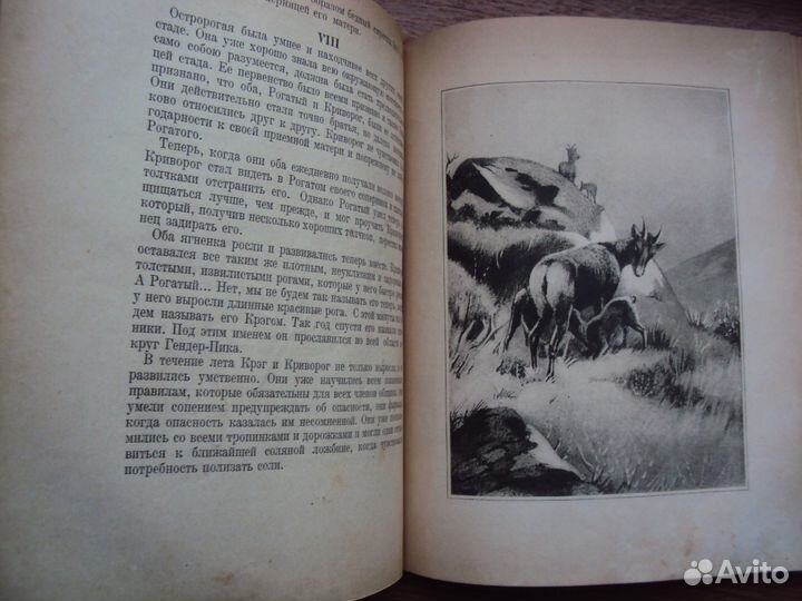 Сетон - Томпсон Э.Животные герои. Рассказы о живот