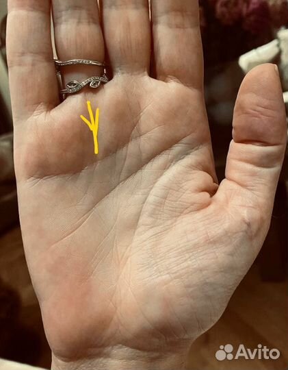 Хиромант,таро,нумеролог,обучение