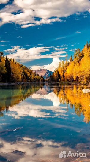 Зерно ячмень, цена за мешок