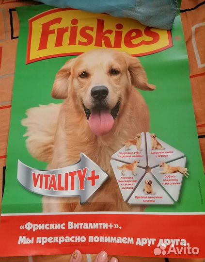 Наклейки-реклама кормов для животных