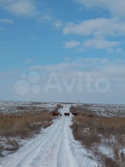 Участок 8,5 га (СНТ, ДНП)