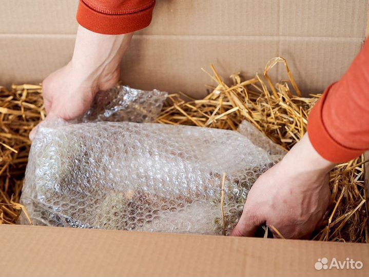 Дерево из мха цетрарии